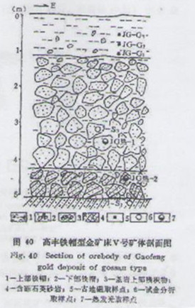 金溶液在表生条件下的沉淀(图1)